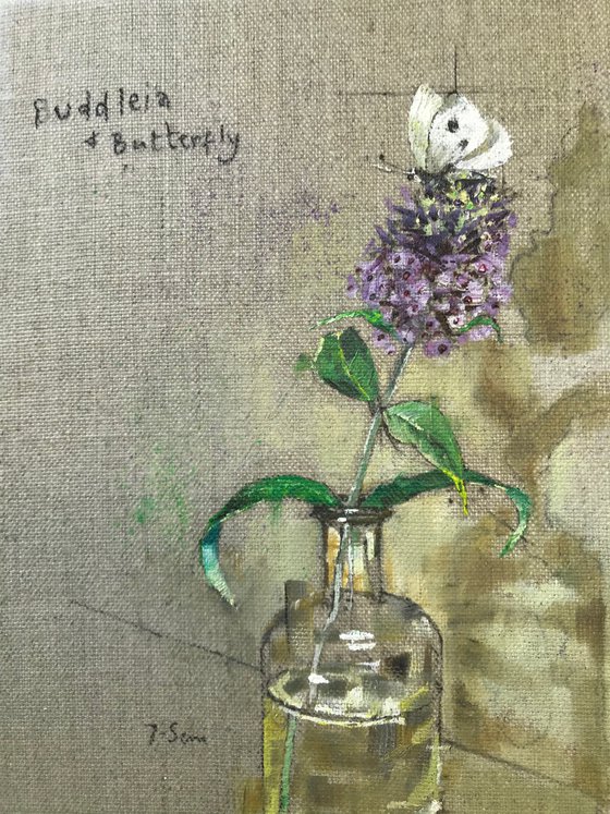 Buddleia and Butterfly