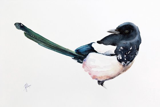 Magpie