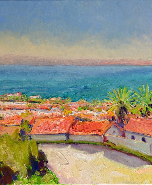 Homes and Ocean. California by Suren Nersisyan