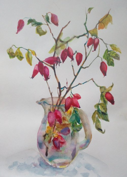 Rosehip branches by Oxana Raduga