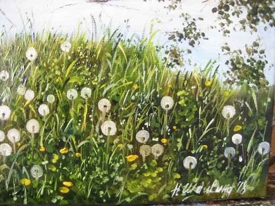Summer Sunset Meadow