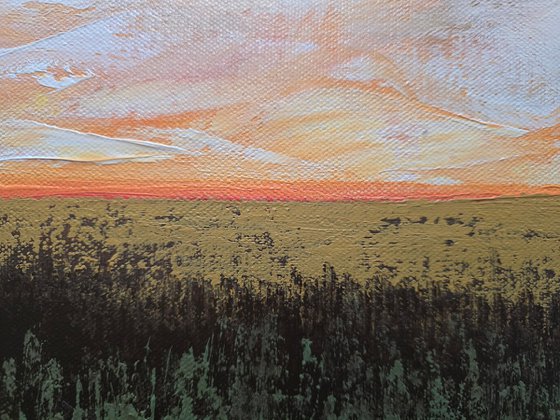 Beneath a Painted Sky