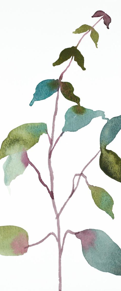 The Woods No. 74 by Elizabeth Becker