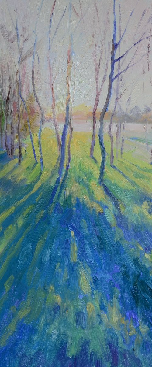 Morning in the meadow by Ruslan Kiprych