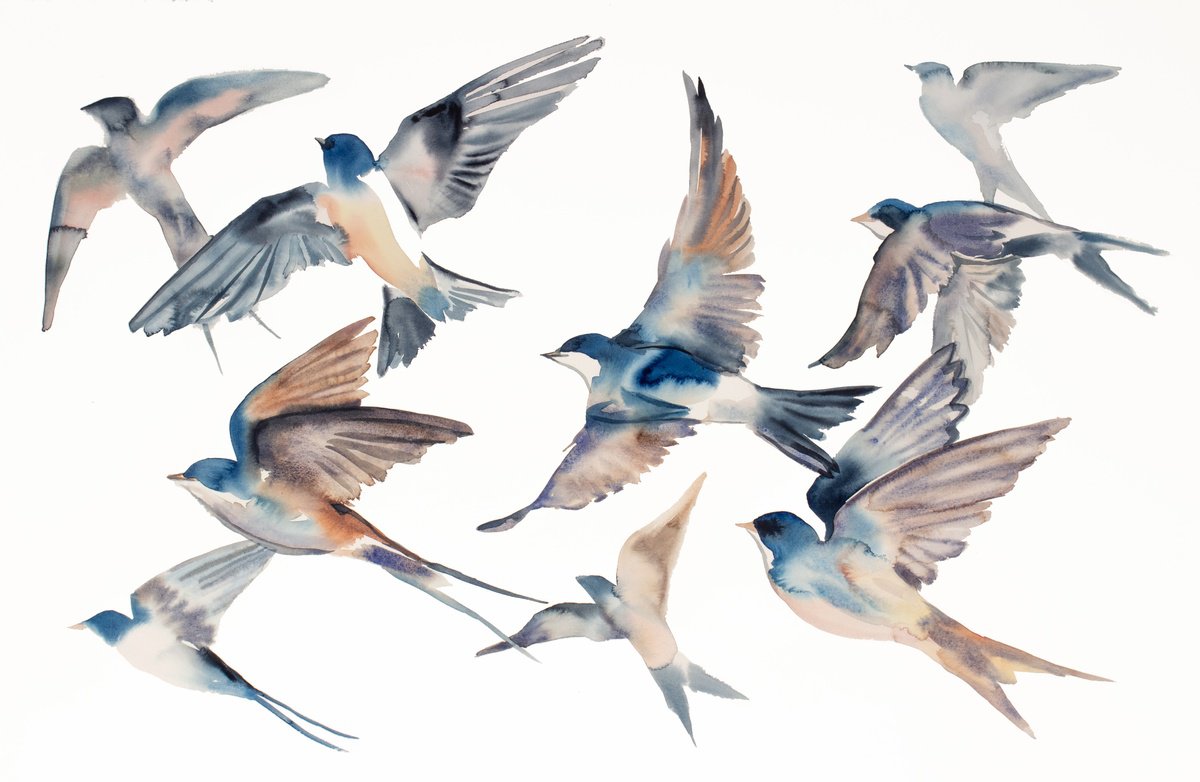 Expressive Animal Watercolour By Elizabeth Becker, 40 X 26, Swallows In Flight No. 47, Original Artwork