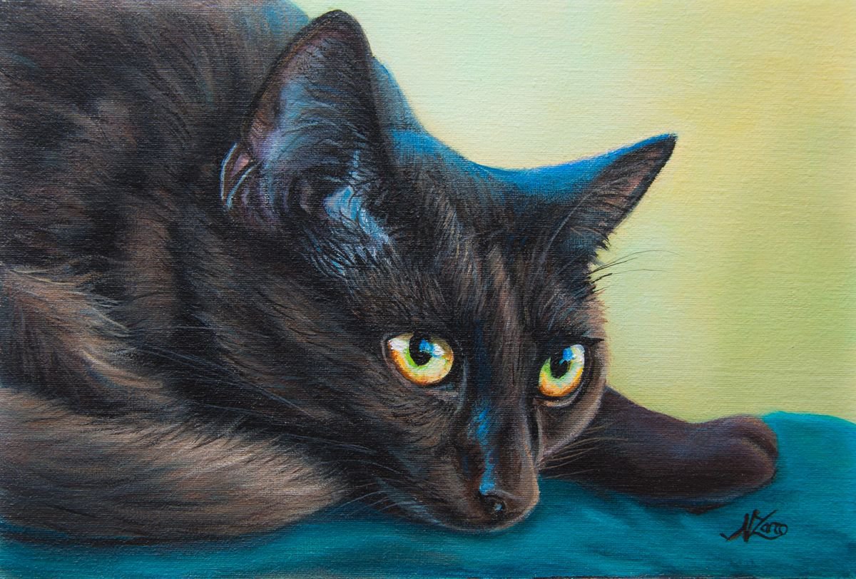 Black Cat 2 Acrylic painting by Norma Beatriz Zaro Artfinder