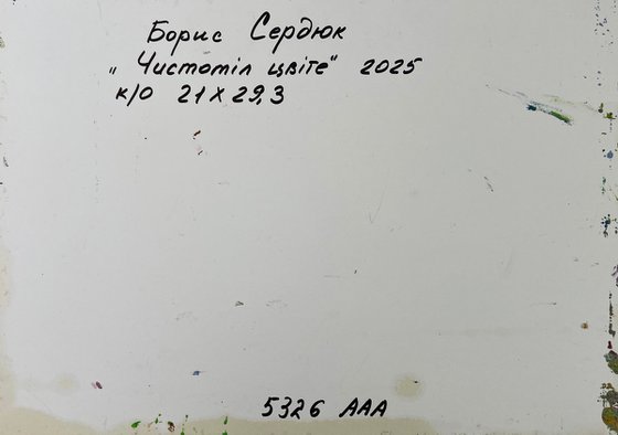 Mountain Flower Fields