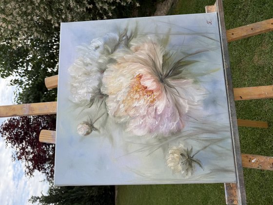 Magic peonies series - A Floating Kiss