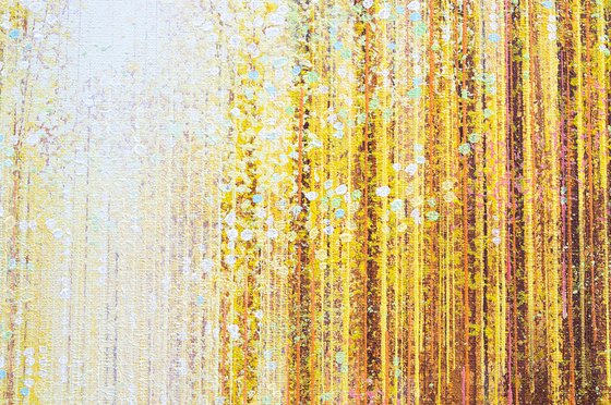 Autumn Trees In Golden Light