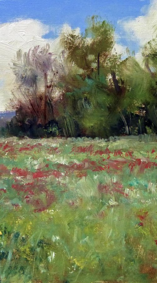 Field in Provence by Pascal Giroud