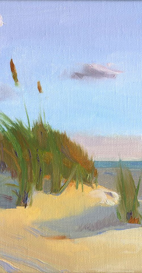 Sun Sand Sky by Bo Kravchenko