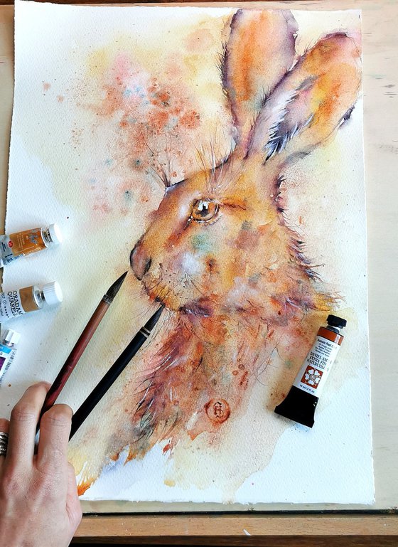 Hare