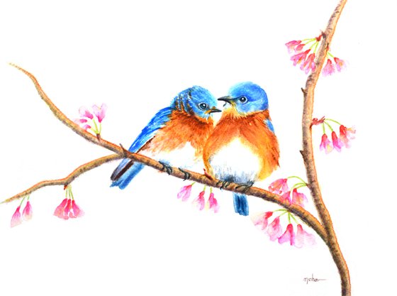 A pair of Blue birds - (ii)