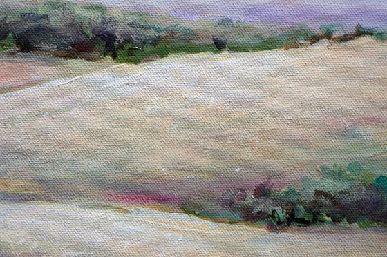 Summer in the Foothills