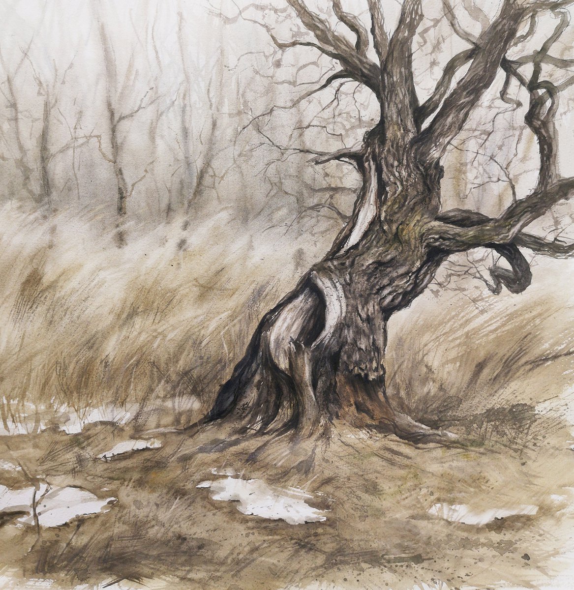 Old oak tree in early winter by Olga Beliaeva Watercolour
