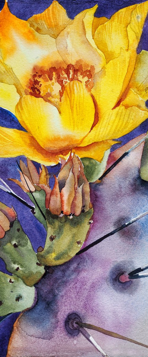 Cacti blossom - yellow flower on violet background, original watercolor by Delnara El