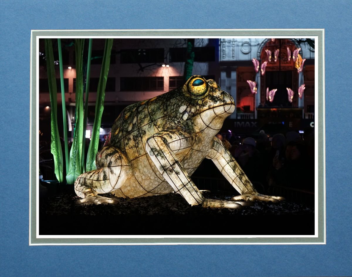 Lumiere London Frog by Robin Clarke