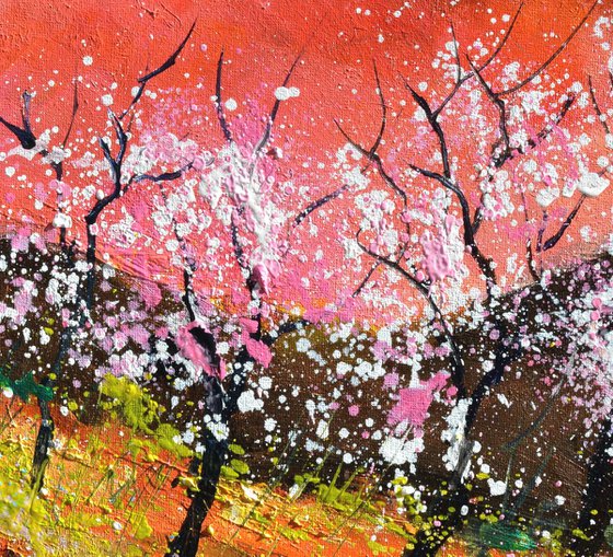 Blooming spring trees