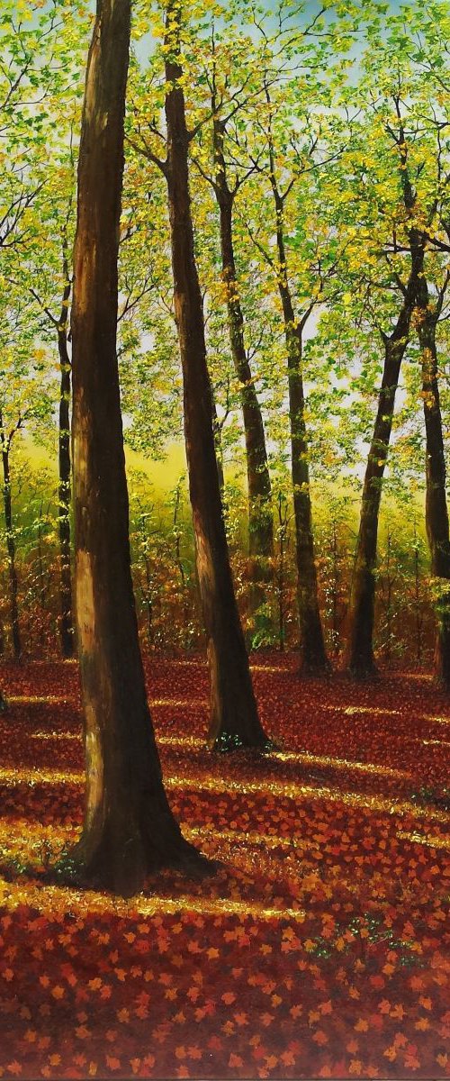 Enchanted Sunlight Forest  122cm x 92cm by Hazel Thomson