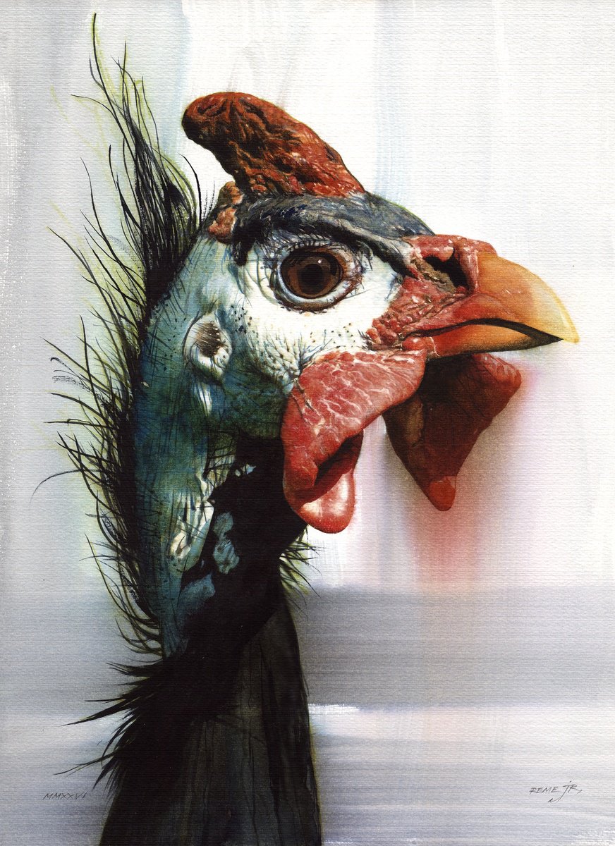 Photorealistic Watercolour , Bird Ccxxxii - Helmet Guinea Fowl By Reme Jr., 12 X 16, Artwork For Sale On Artfinder
