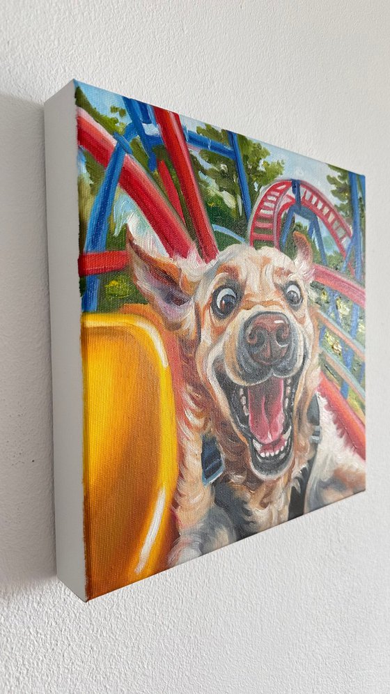 No Brakes | Dog on Rollercoaster