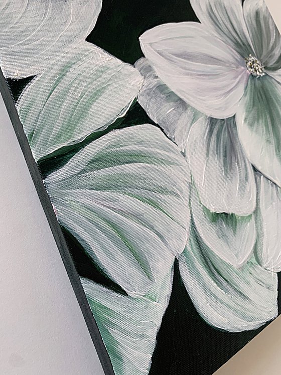 Magnolia white petals Flowers set