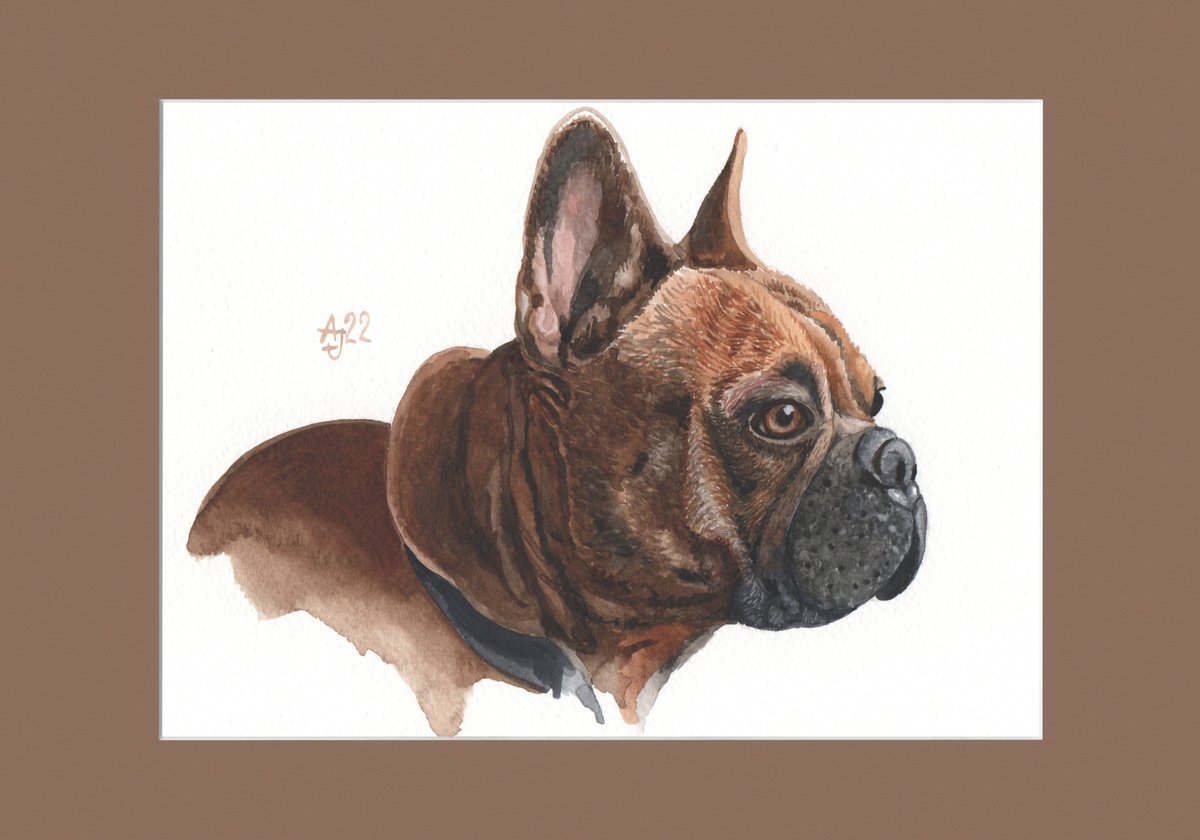 French Bulldog by Jolanta Czarnecka