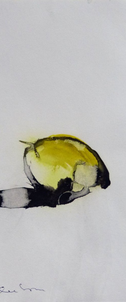 The Lemon 2, ink on paper 21x29 cm by Frederic Belaubre