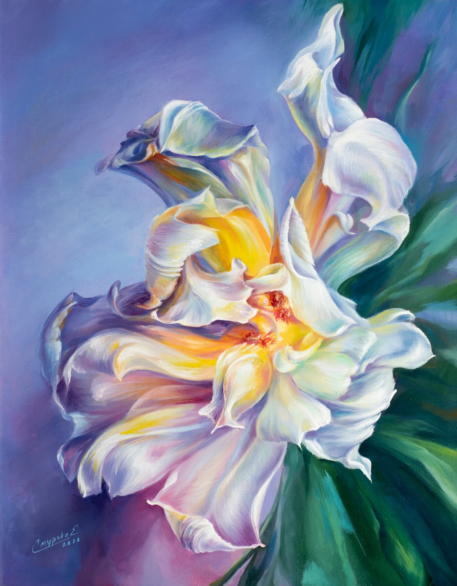 Radiance - oil on canvas, expressive flower painting by Elena Smurova