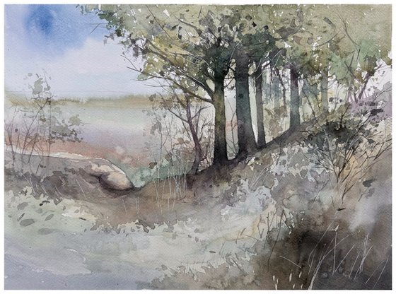 Landscape