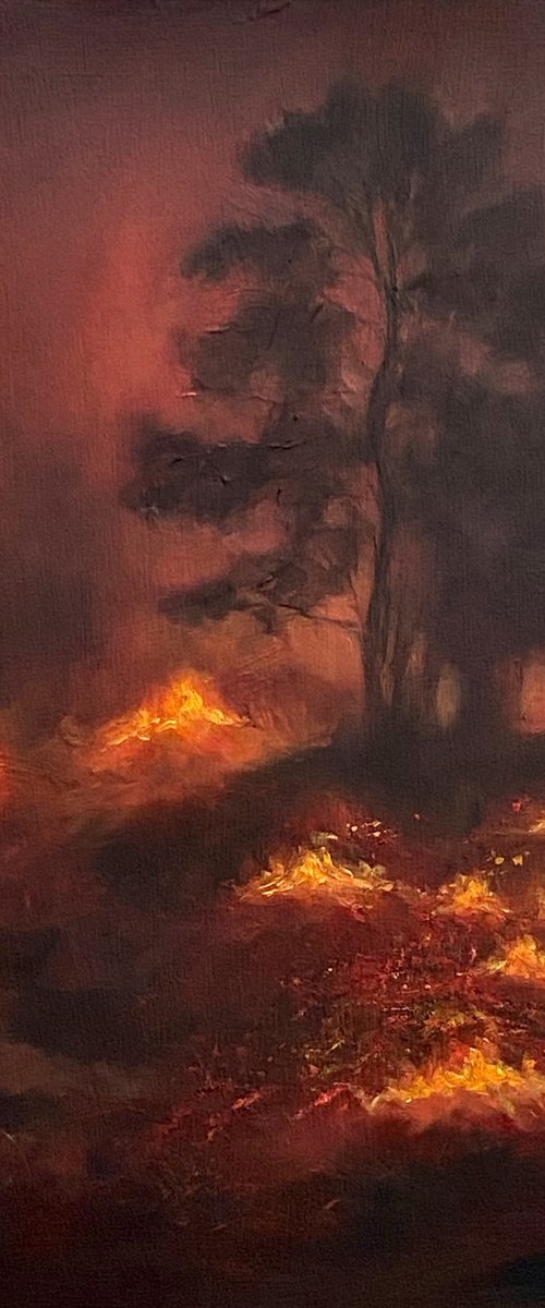 Wildfires (IV) by Diana Sandetskaya