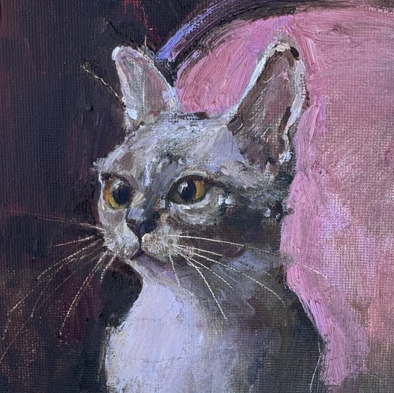 Queen of Cats