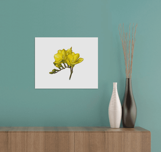 Yellow freesia watercolor flowers