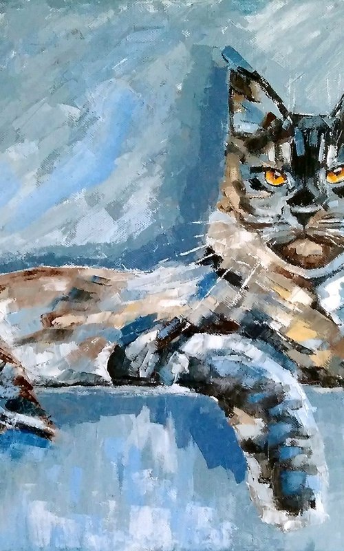 The Cat Maine Coon by Yulia Berseneva