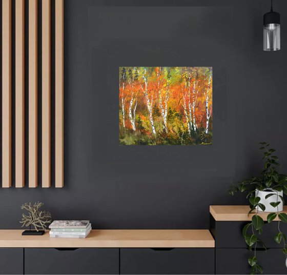 Aspen trees in autumn   76
