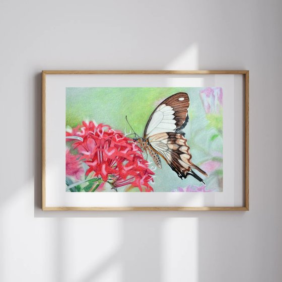 Butterfly - Sign of resurrection