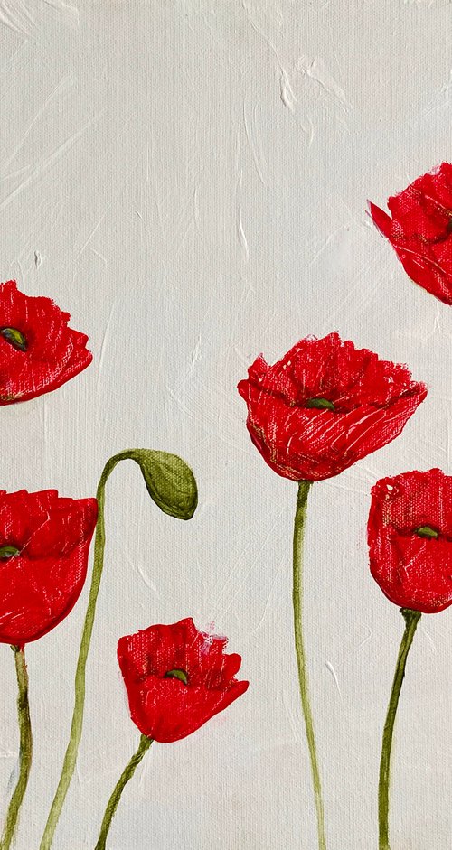 Modern poppies by Heather Matthews