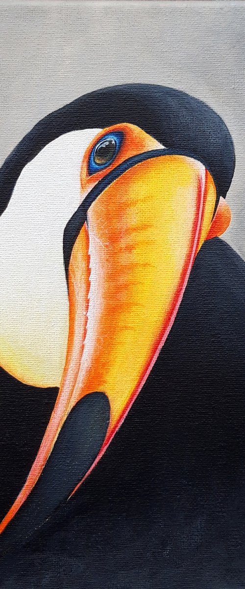 Toucan Birds Colourful Bird by Natalia Langenberg