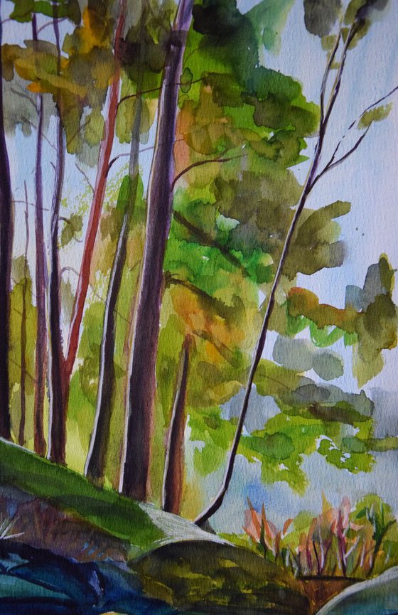 Norway watercolor painting Norwegian forest, sun rays through trees and stream