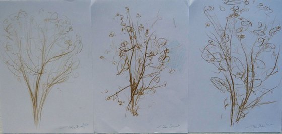 Three Tree sketches, 21x29 cm - affordable & AF exclusive !