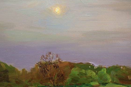 Silent evening