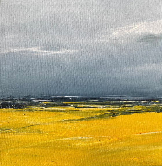 Fields of Yellow