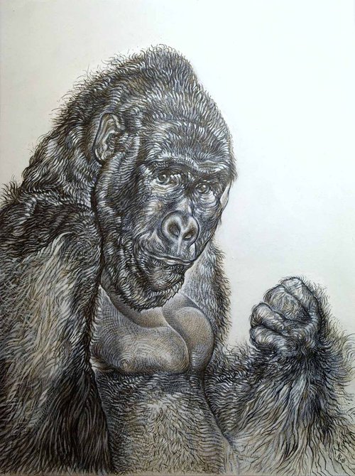 Gorilla by Austen Pinkerton