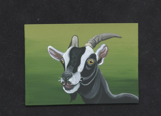 ACEO ATC Original Miniature Painting Black Goat Farmyard Art-Carla Smale