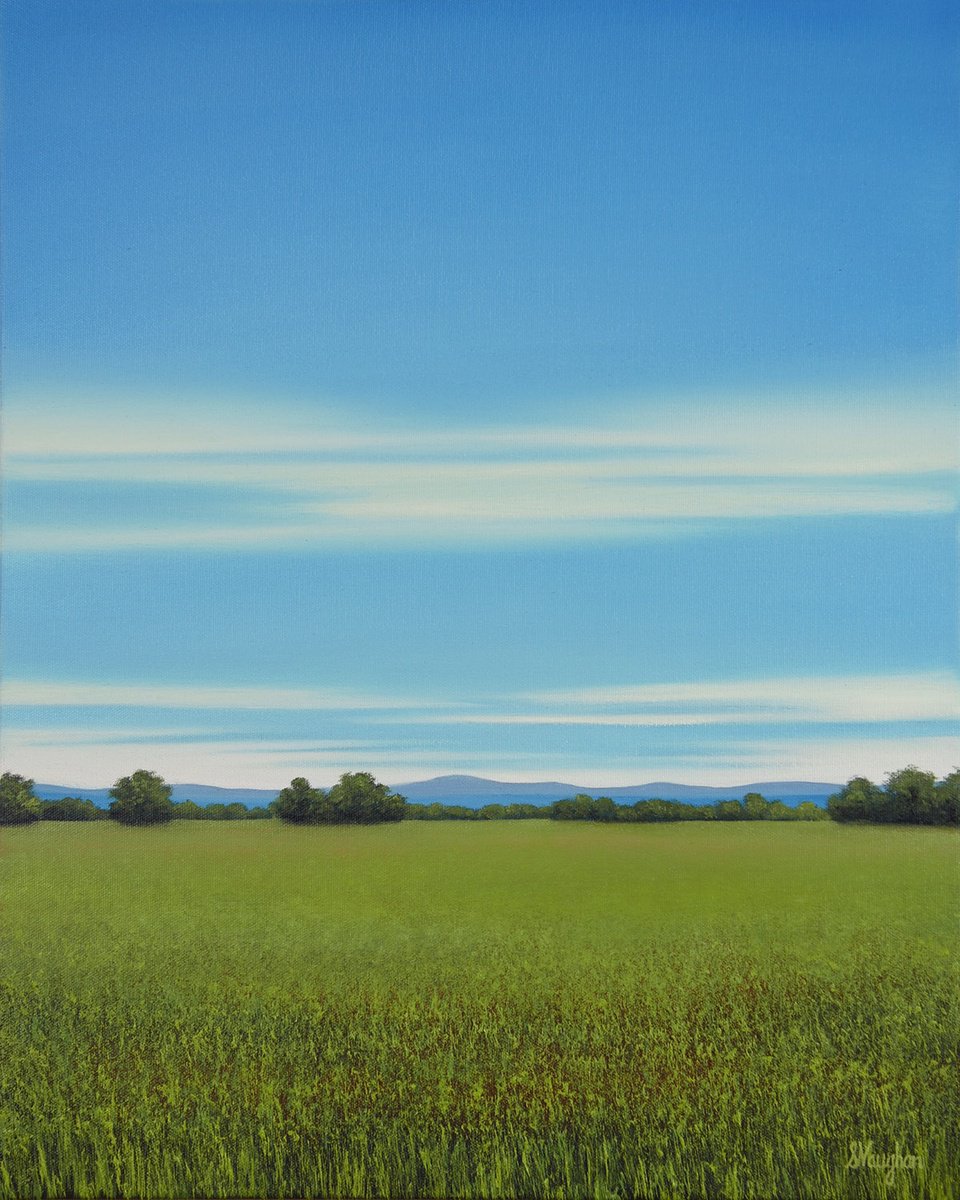 Lush Grass - Blue Sky Landscape by Suzanne Vaughan