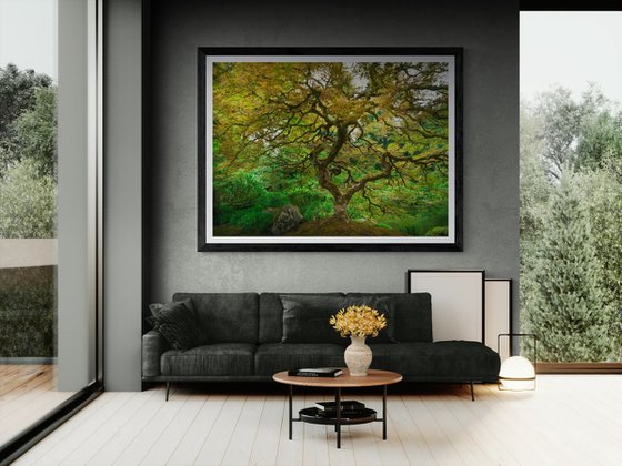 TREE OF LIFE