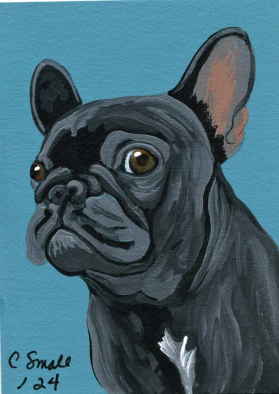 Black French Bulldog