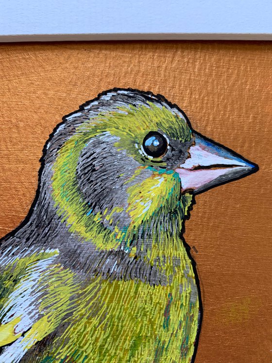 British Garden Birds series - Green finch