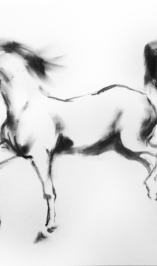 HORSE by Nicolas GOIA