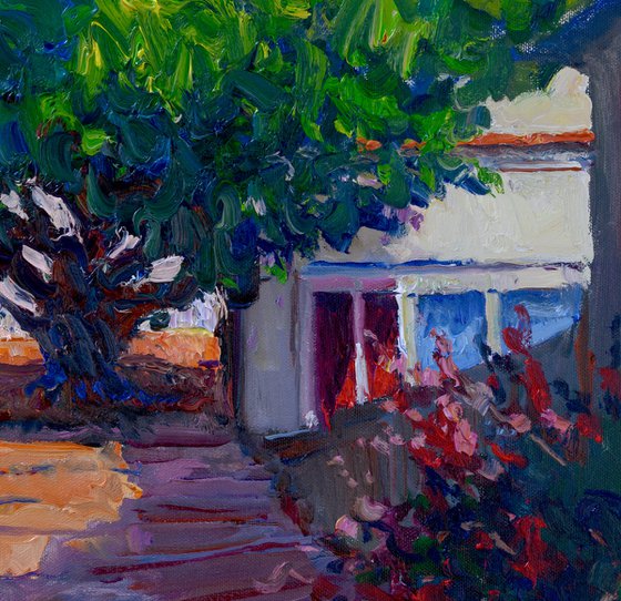 Big tree in the Old Backyard